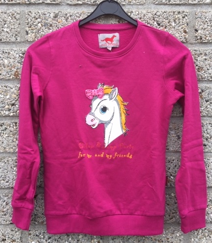 [590008-fuchsia] Sweatshirt Fancy