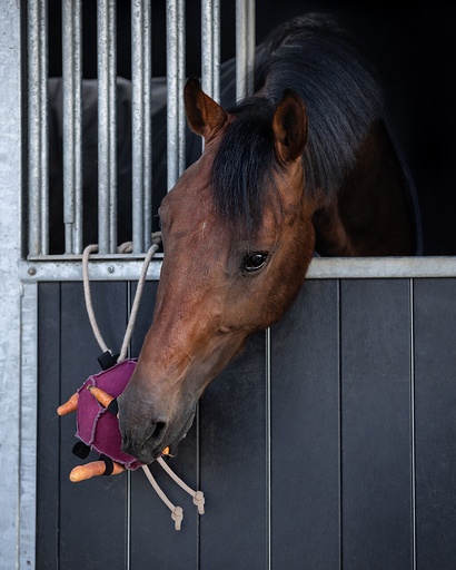 Paardenspeelgoed bal