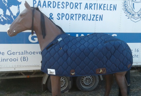 Quarterdeken Harry's Horse