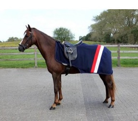 Uitrijdeken fleece Holland